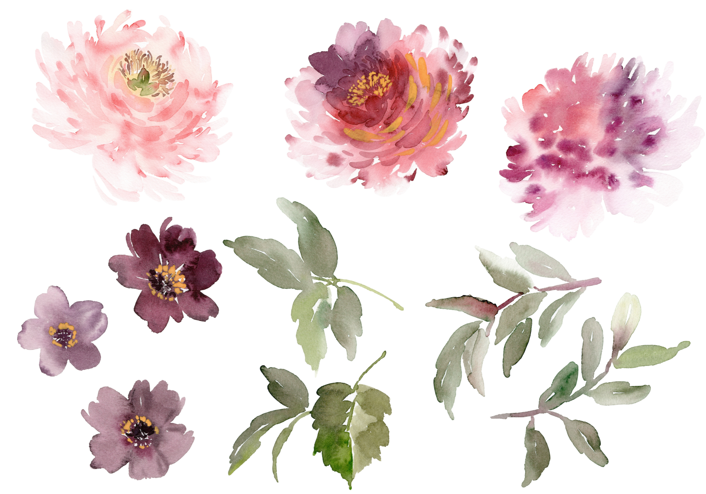 watercolor flower